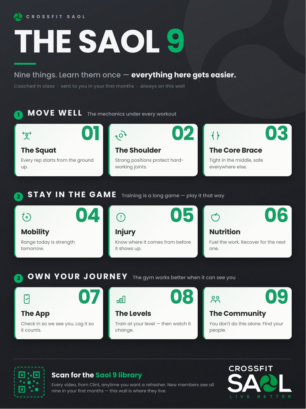 The Saol 9 poster: nine things every Saol member should know